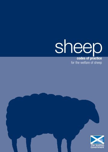 Codes Of Practice For The Welfare Of Sheep - Scottish Government