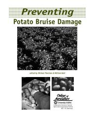 Preventing Potato Bruise Damage - University of Idaho