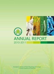 ANNUAL REPORT