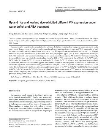 Upland rice and lowland rice exhibited different PIP ... - ResearchGate