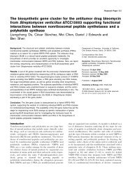 The biosynthetic gene cluster for the antitumor drug bleomycin from ...