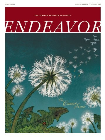 Endeavor - The Scripps Research Institute
