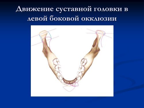 Основы гнатологии и биомеханики