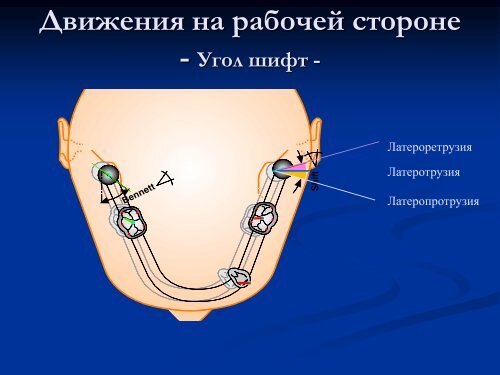 Основы гнатологии и биомеханики