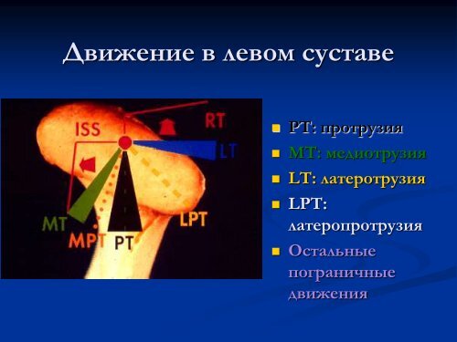 Основы гнатологии и биомеханики