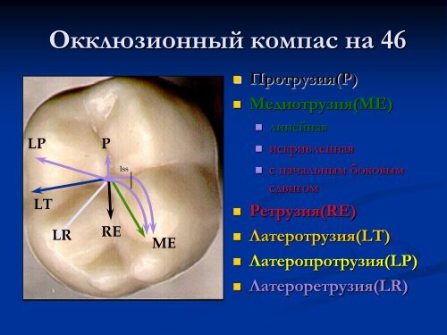 Основы гнатологии и биомеханики