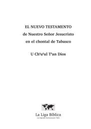 Chontal de Tabasco Nuevo Testamento in PDF format - Christus Rex