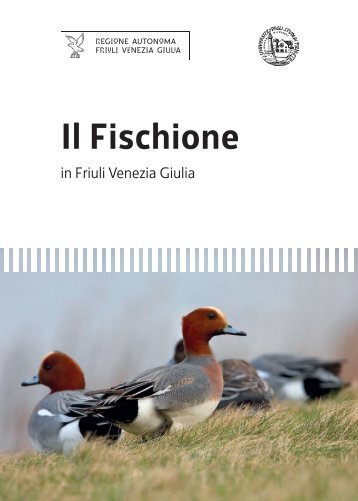 Il Fischione - Regione Autonoma Friuli Venezia Giulia