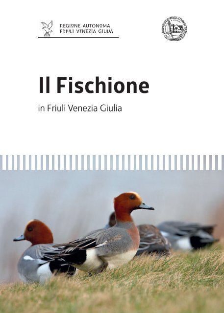Il Fischione - Regione Autonoma Friuli Venezia Giulia