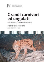 Grandi carnivori e ungulati - Regione Autonoma Friuli Venezia Giulia