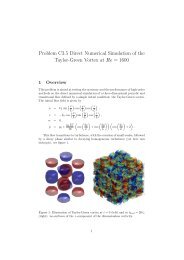 Problem C3.5 Direct Numerical Simulation of the Taylor-Green ...