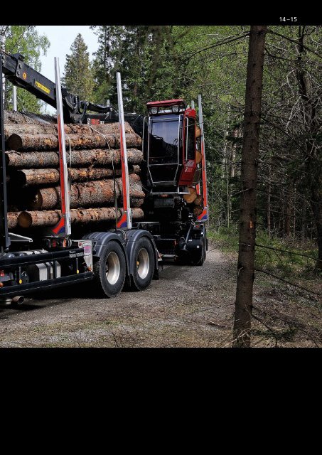 Scania Holztransport