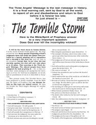 The Terrible Storm - SDADefend