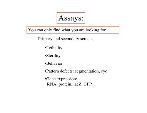 Genetic approaches to development - Society for Developmental ...