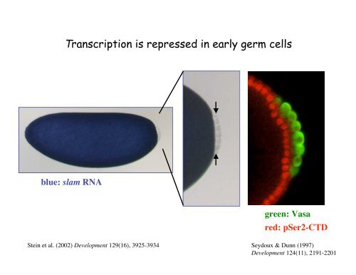 Genetic approaches to development - Society for Developmental ...