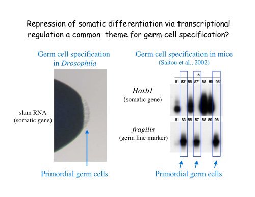 Genetic approaches to development - Society for Developmental ...