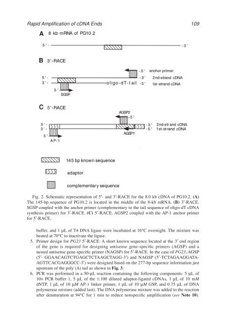 John M. S. Bartlett.pdf - Bio-Nica.info