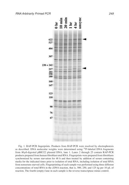 John M. S. Bartlett.pdf - Bio-Nica.info