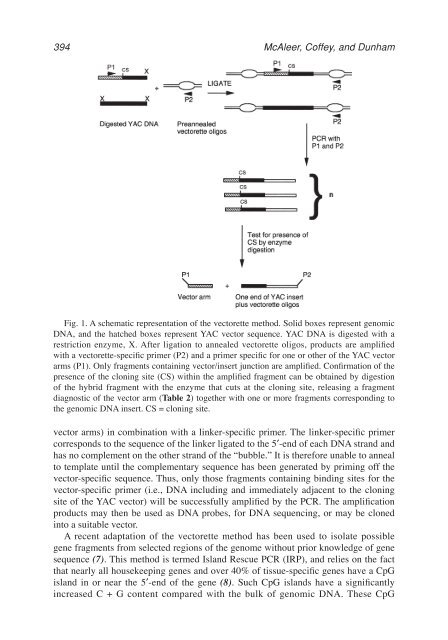 John M. S. Bartlett.pdf - Bio-Nica.info