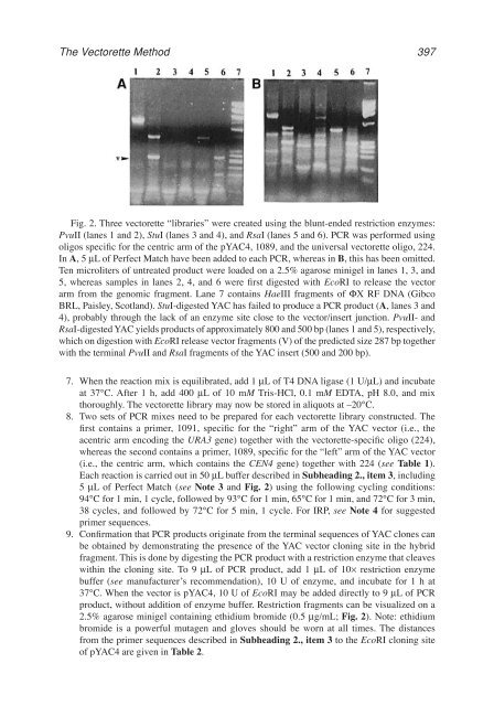 John M. S. Bartlett.pdf - Bio-Nica.info