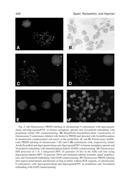 John M. S. Bartlett.pdf - Bio-Nica.info