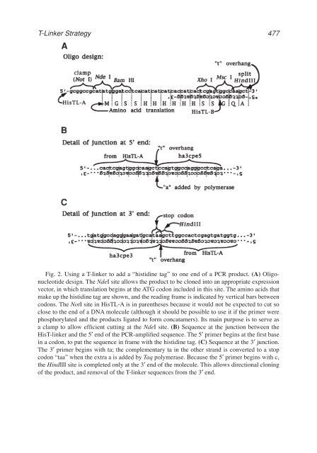 John M. S. Bartlett.pdf - Bio-Nica.info