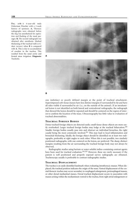 Small Animal Radiology and Ultrasound: A Diagnostic Atlas and Text