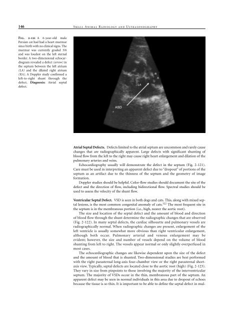 Small Animal Radiology and Ultrasound: A Diagnostic Atlas and Text