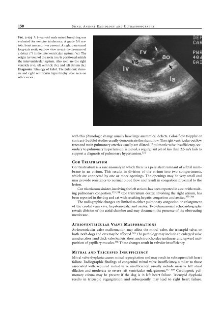 Small Animal Radiology and Ultrasound: A Diagnostic Atlas and Text