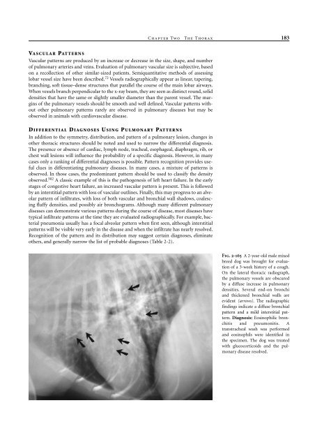 Small Animal Radiology and Ultrasound: A Diagnostic Atlas and Text