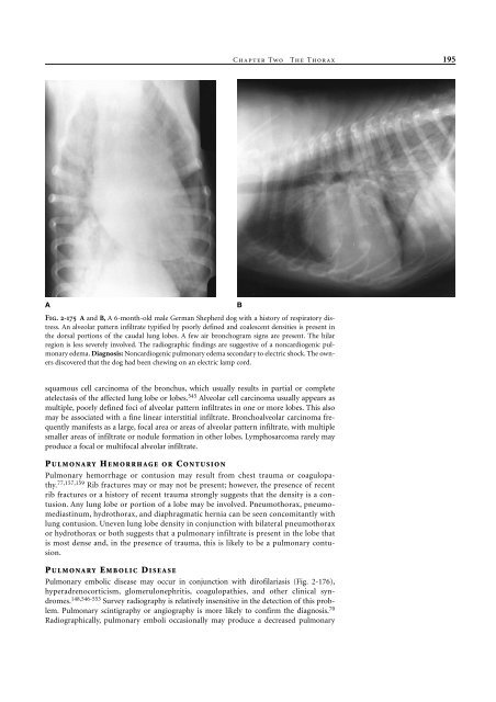 Small Animal Radiology and Ultrasound: A Diagnostic Atlas and Text