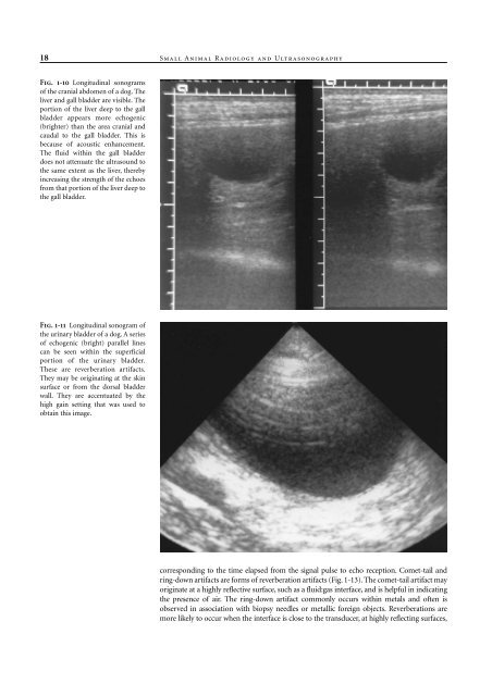 Small Animal Radiology and Ultrasound: A Diagnostic Atlas and Text