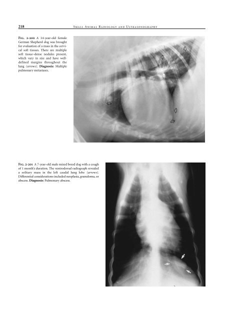 Small Animal Radiology and Ultrasound: A Diagnostic Atlas and Text