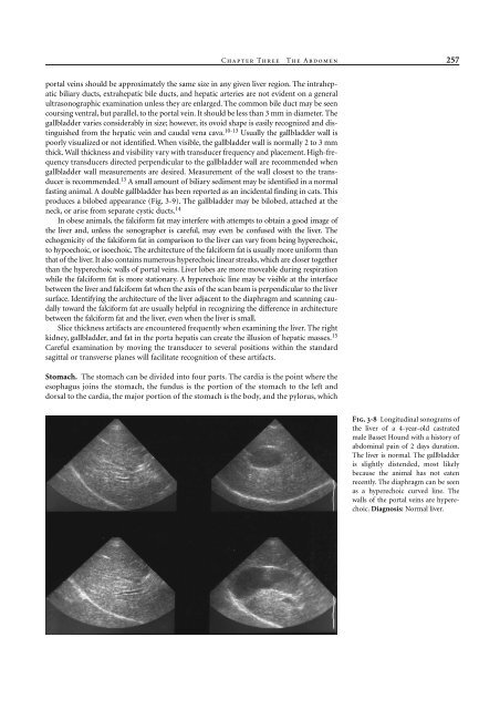 Small Animal Radiology and Ultrasound: A Diagnostic Atlas and Text