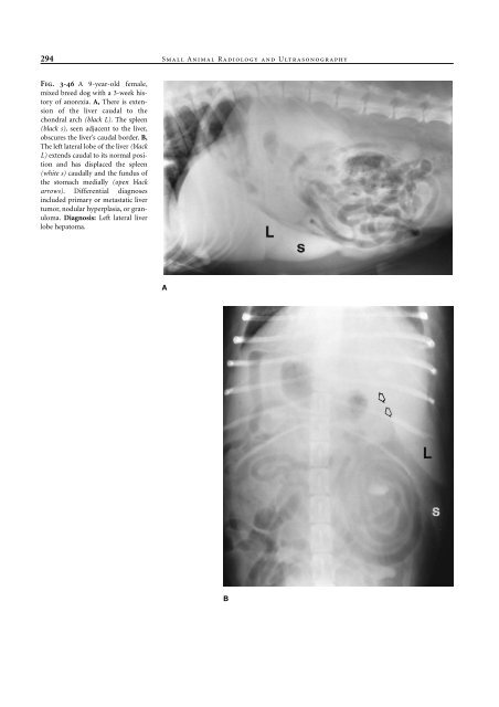 Small Animal Radiology and Ultrasound: A Diagnostic Atlas and Text