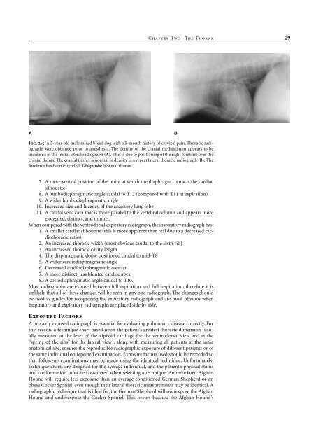 Small Animal Radiology and Ultrasound: A Diagnostic Atlas and Text