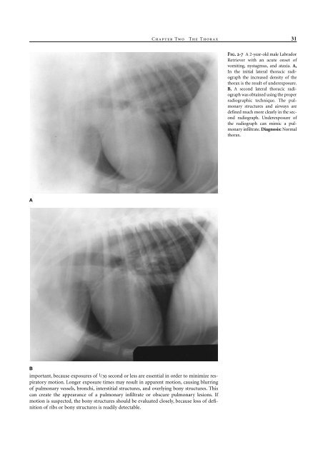 Small Animal Radiology and Ultrasound: A Diagnostic Atlas and Text