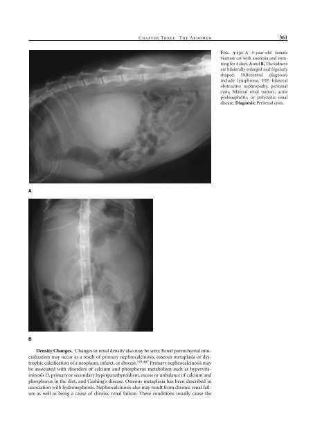 Small Animal Radiology and Ultrasound: A Diagnostic Atlas and Text