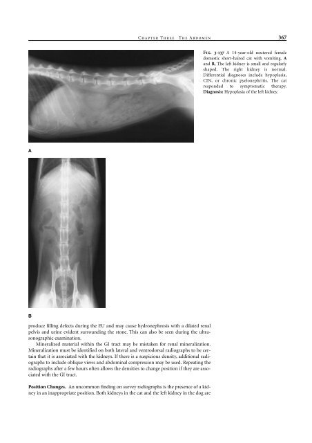 Small Animal Radiology and Ultrasound: A Diagnostic Atlas and Text