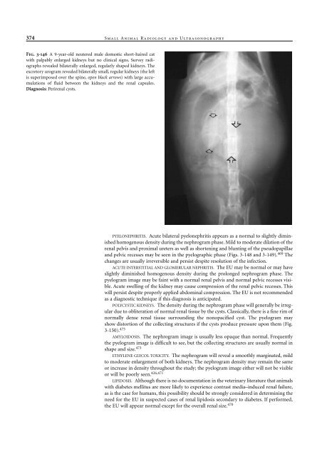 Small Animal Radiology and Ultrasound: A Diagnostic Atlas and Text