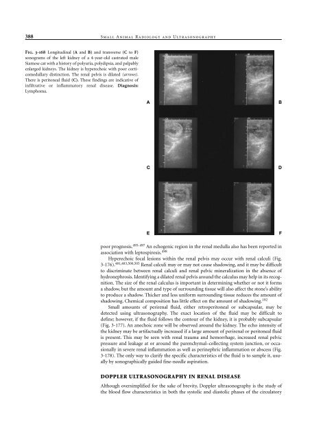 Small Animal Radiology and Ultrasound: A Diagnostic Atlas and Text