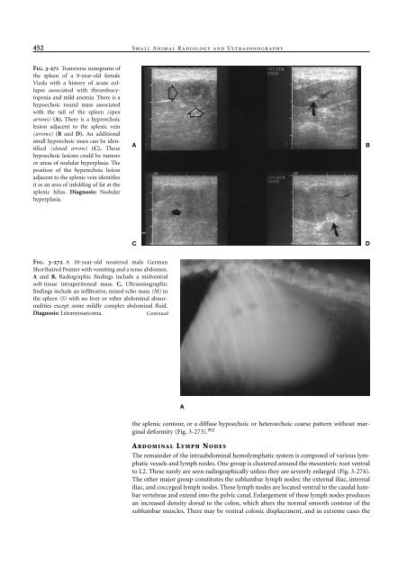 Small Animal Radiology and Ultrasound: A Diagnostic Atlas and Text