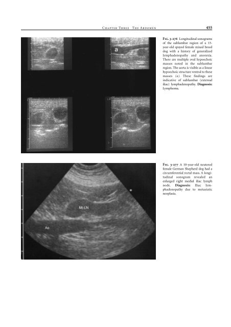 Small Animal Radiology and Ultrasound: A Diagnostic Atlas and Text