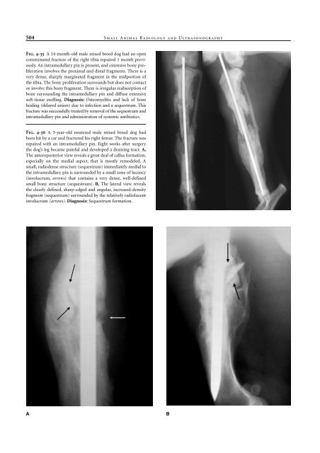 Small Animal Radiology and Ultrasound: A Diagnostic Atlas and Text