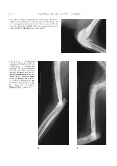 Small Animal Radiology and Ultrasound: A Diagnostic Atlas and Text