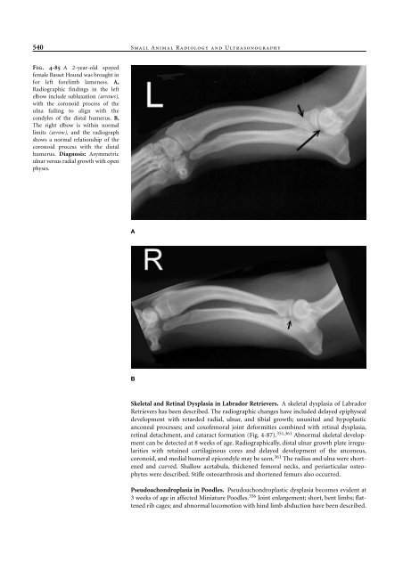 Small Animal Radiology and Ultrasound: A Diagnostic Atlas and Text