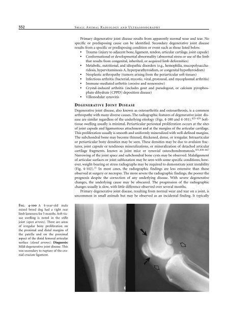 Small Animal Radiology and Ultrasound: A Diagnostic Atlas and Text