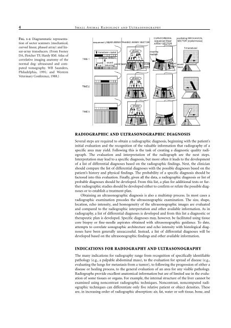 Small Animal Radiology and Ultrasound: A Diagnostic Atlas and Text