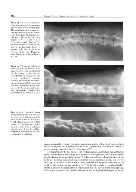 Small Animal Radiology and Ultrasound: A Diagnostic Atlas and Text