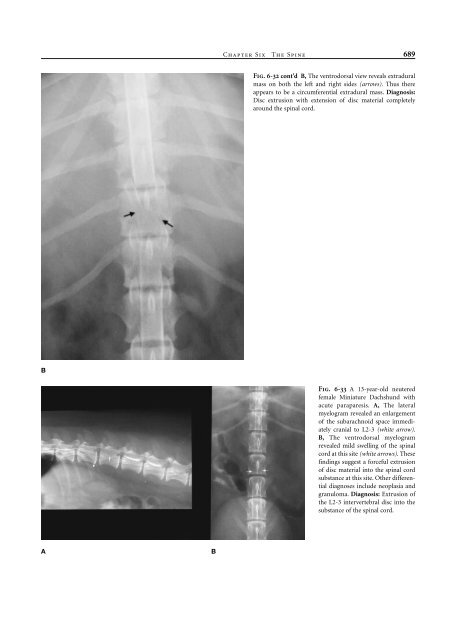 Small Animal Radiology and Ultrasound: A Diagnostic Atlas and Text